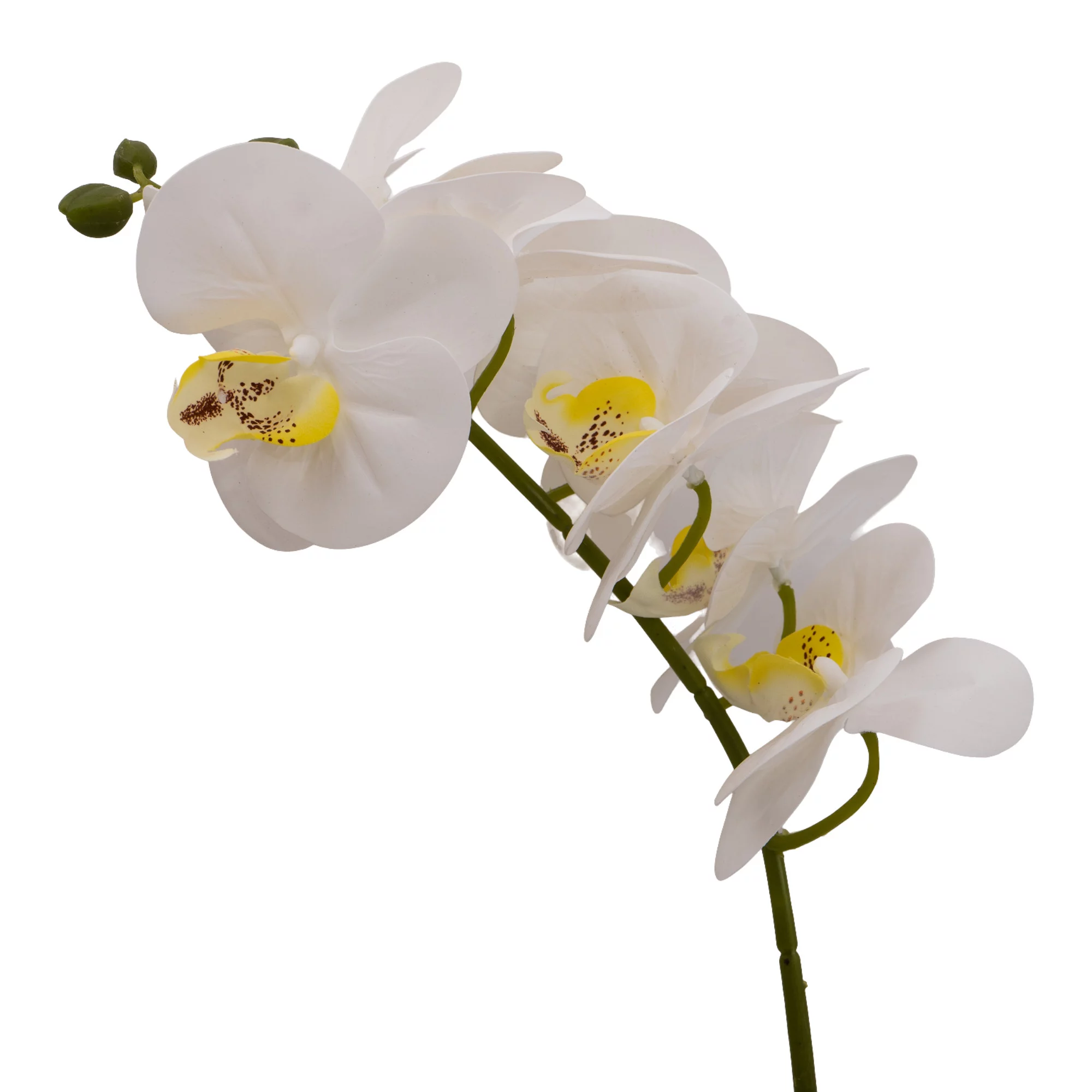 25cm White Orchid Artificial Plant In Grey Ceramic Pot - Image 2