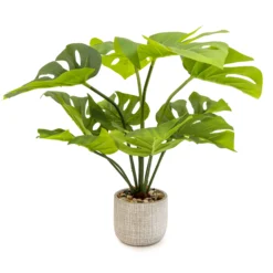50cm Cheese Plant Artificial Plant In Grey Ceramic Pot