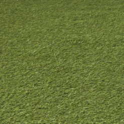 Dennis Artificial Grass 8m² (T)22mm