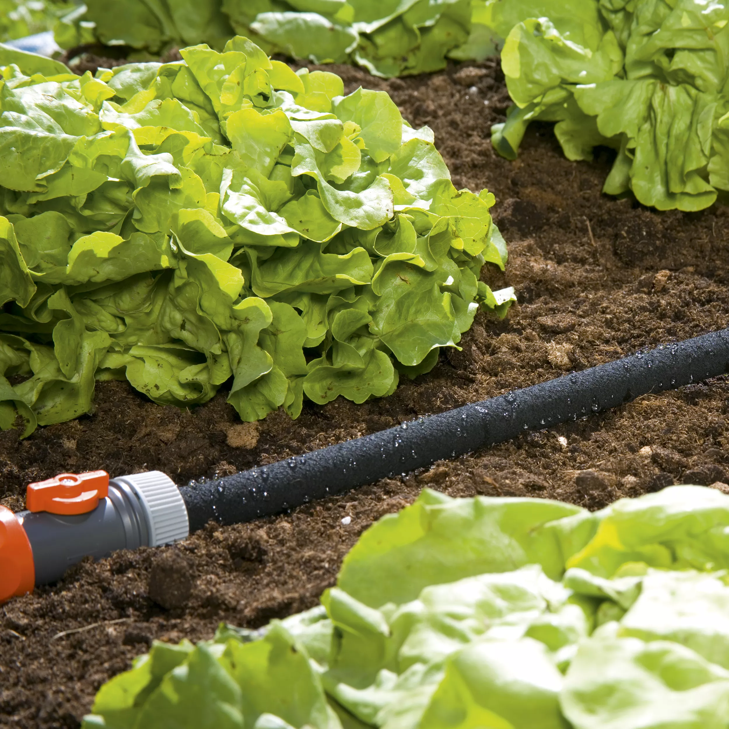 Gardena 1969-20 Black Multilayer Braided Reinforced Hose Pipe (D)½" X (L)15m - Image 2