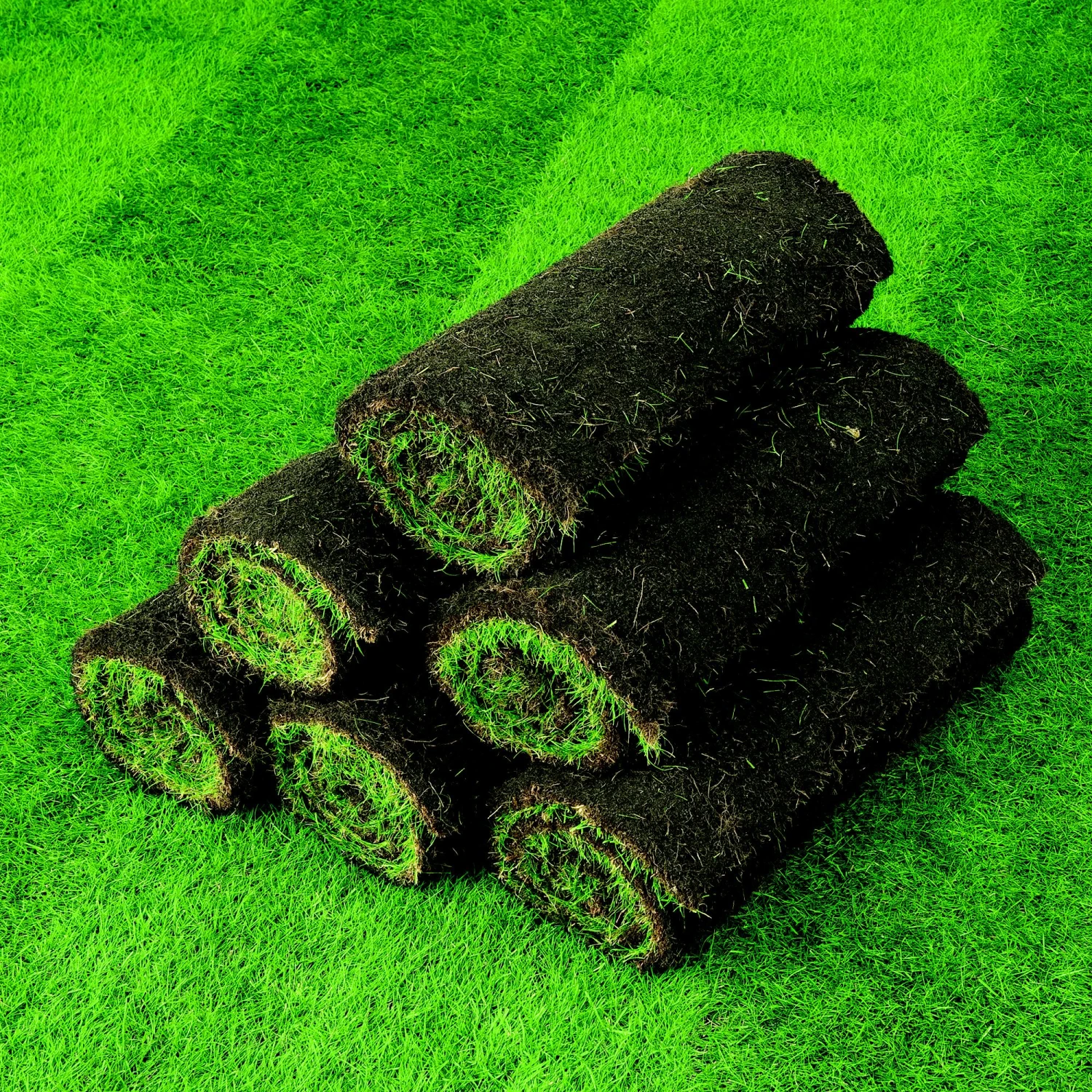 Lawn Turf, 59m² Pack - Image 6