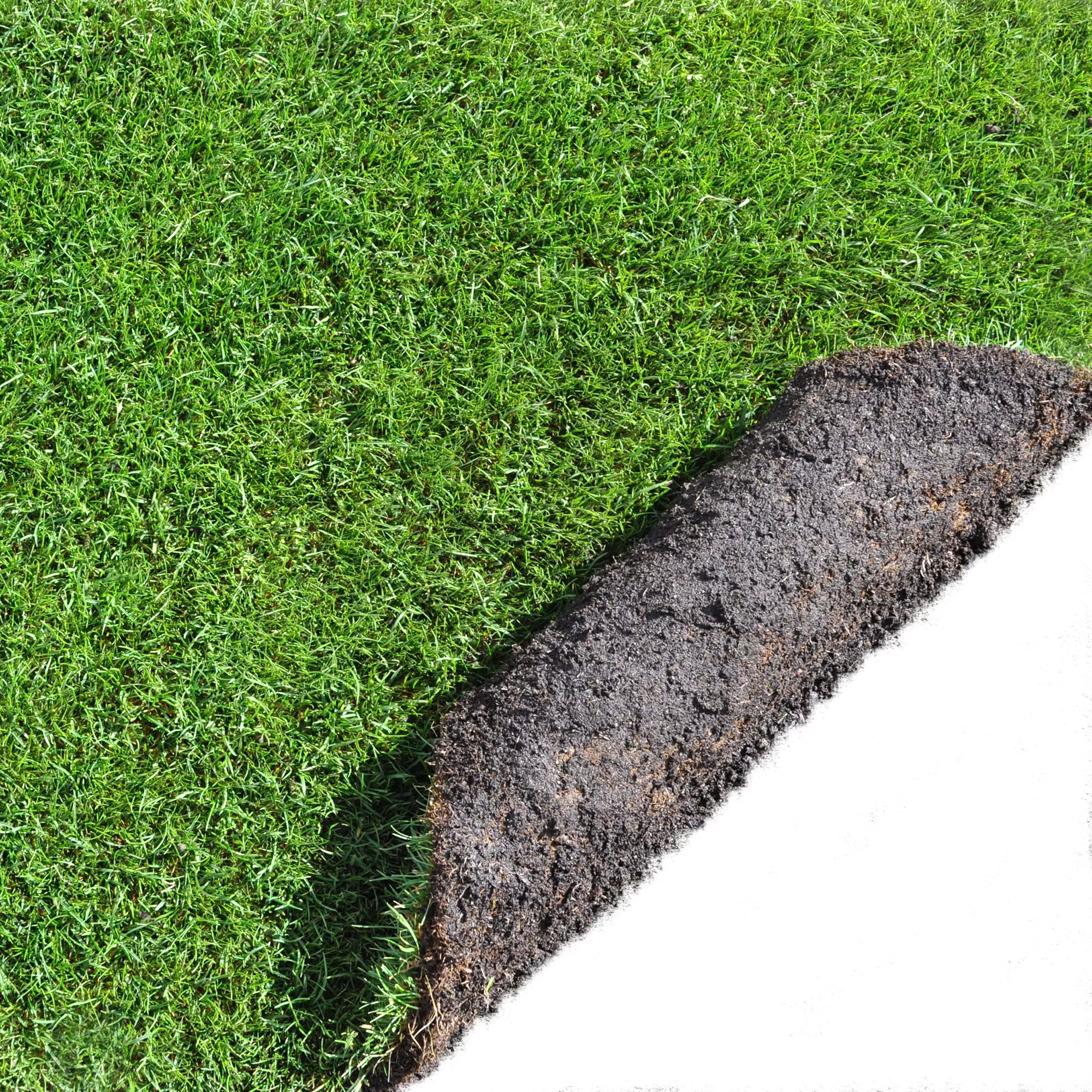 Lawn Turf, 59m² Pack - Image 2