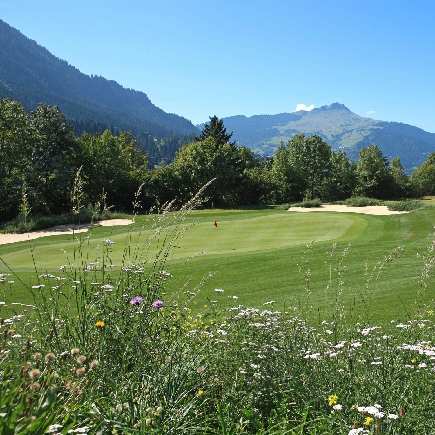 Meadowmat Wildflower Turf, 20m² Pack - Image 6