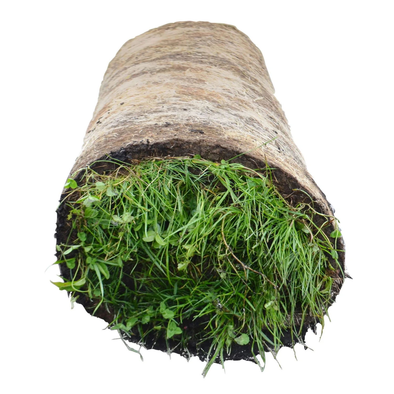 Meadowmat Wildflower Turf, 20m² Pack - Image 2