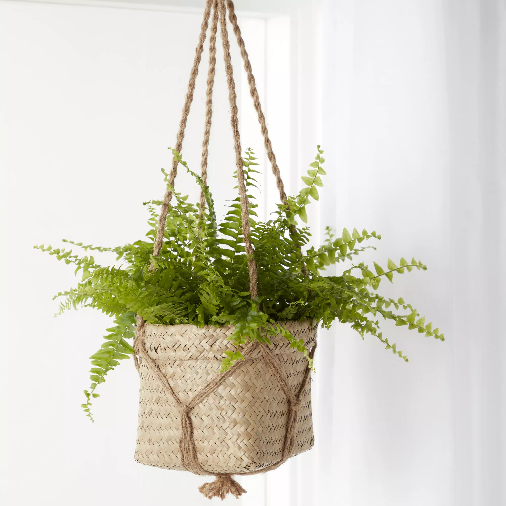Natural Seagrass Herringbone Round Plant Pot (Dia)20.5cm - Image 4