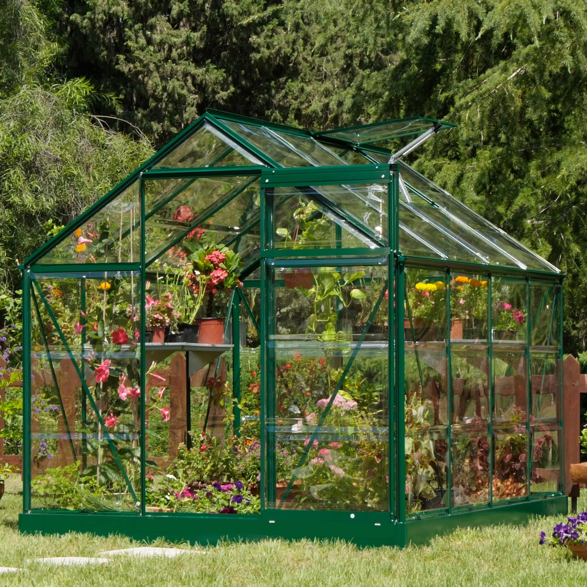 Palram - Canopia Harmony Green 6x10 Greenhouse - Image 2