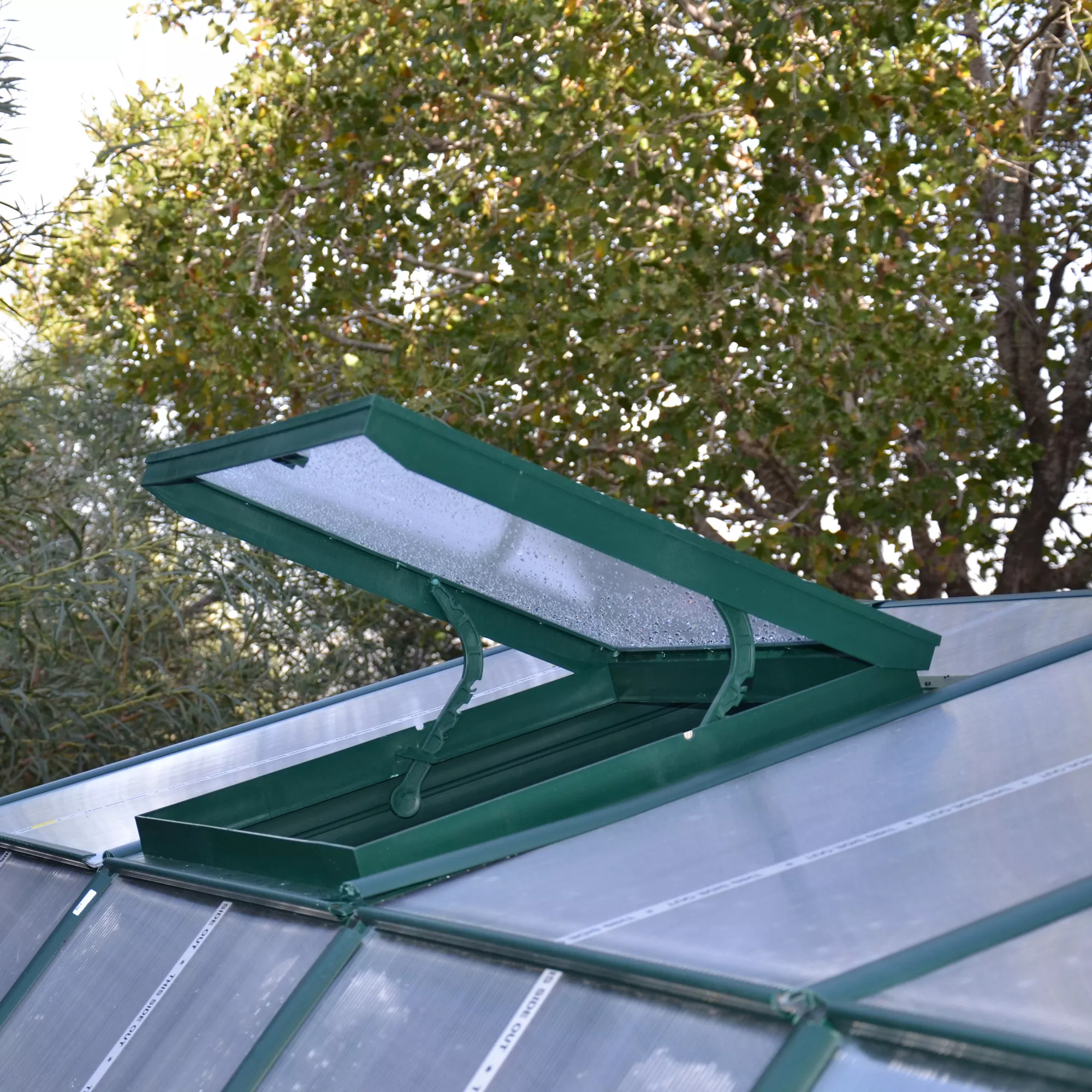 Rion Grand Gardner Green 8x8 Greenhouse - Image 6