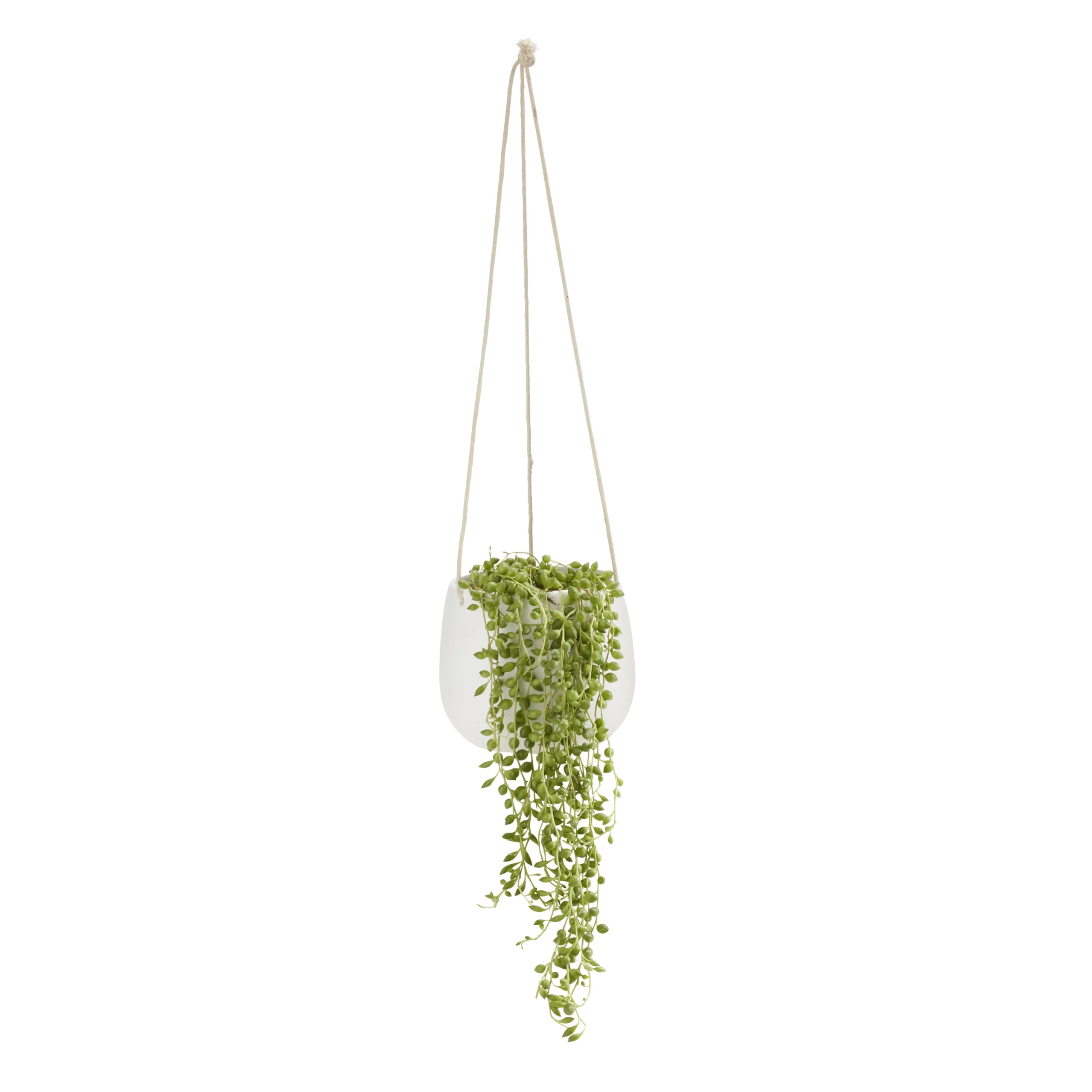 String Of Beads In 13cm White Ceramic Hanging Pot