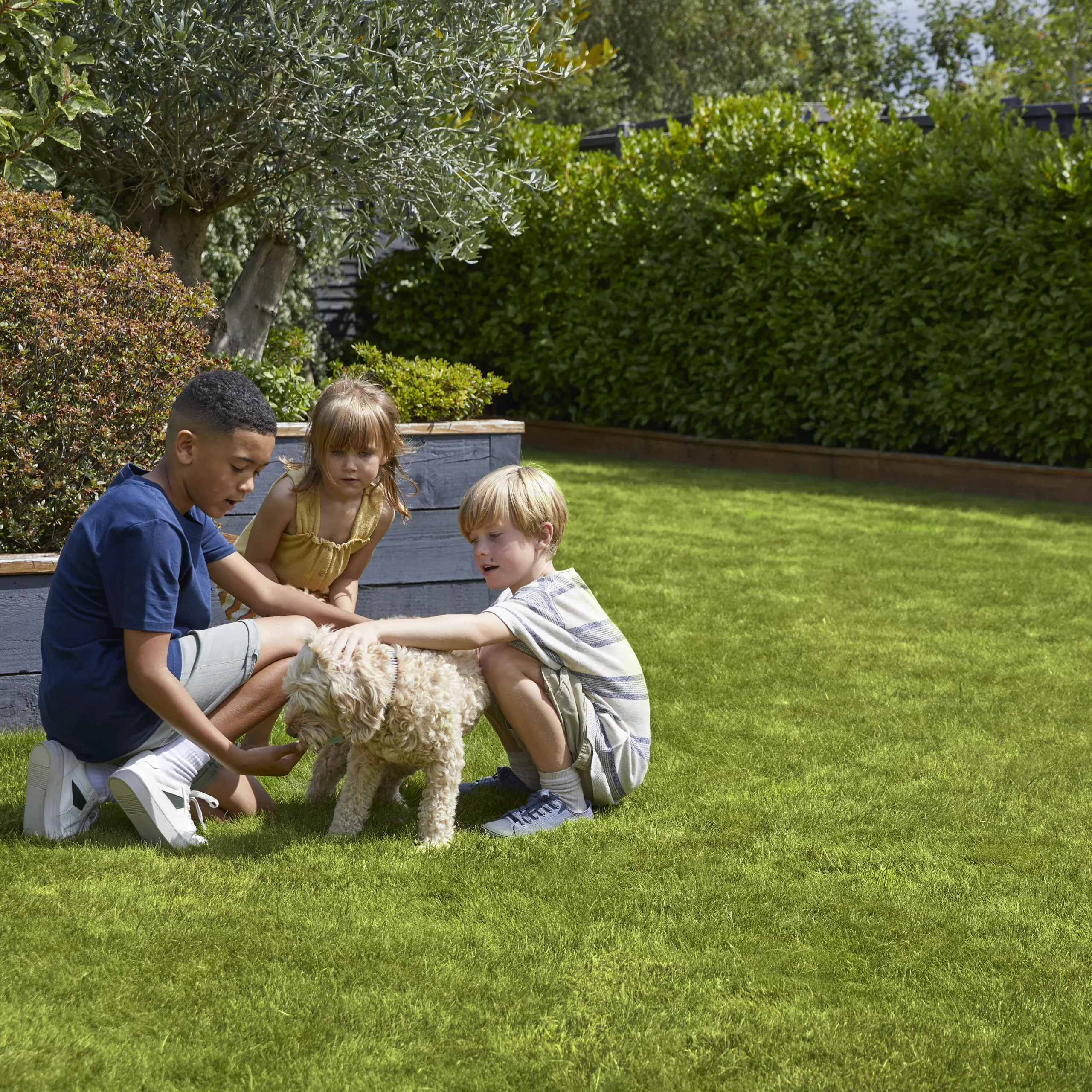 Verve Family & Sports Grass Seeds, 10kg - Image 5