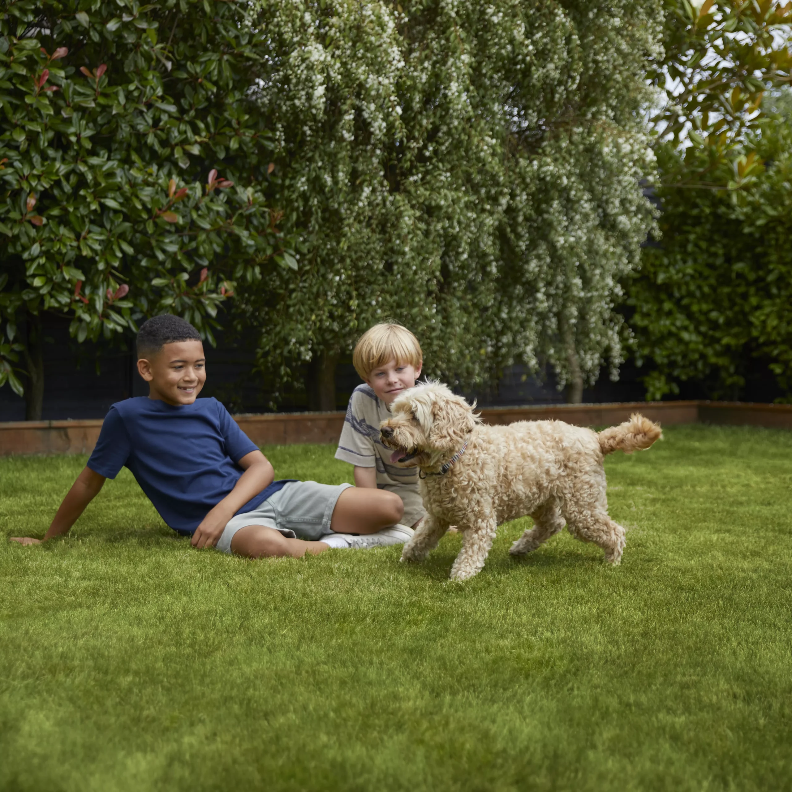 Verve Family & Sports Grass Seeds, 10kg - Image 6