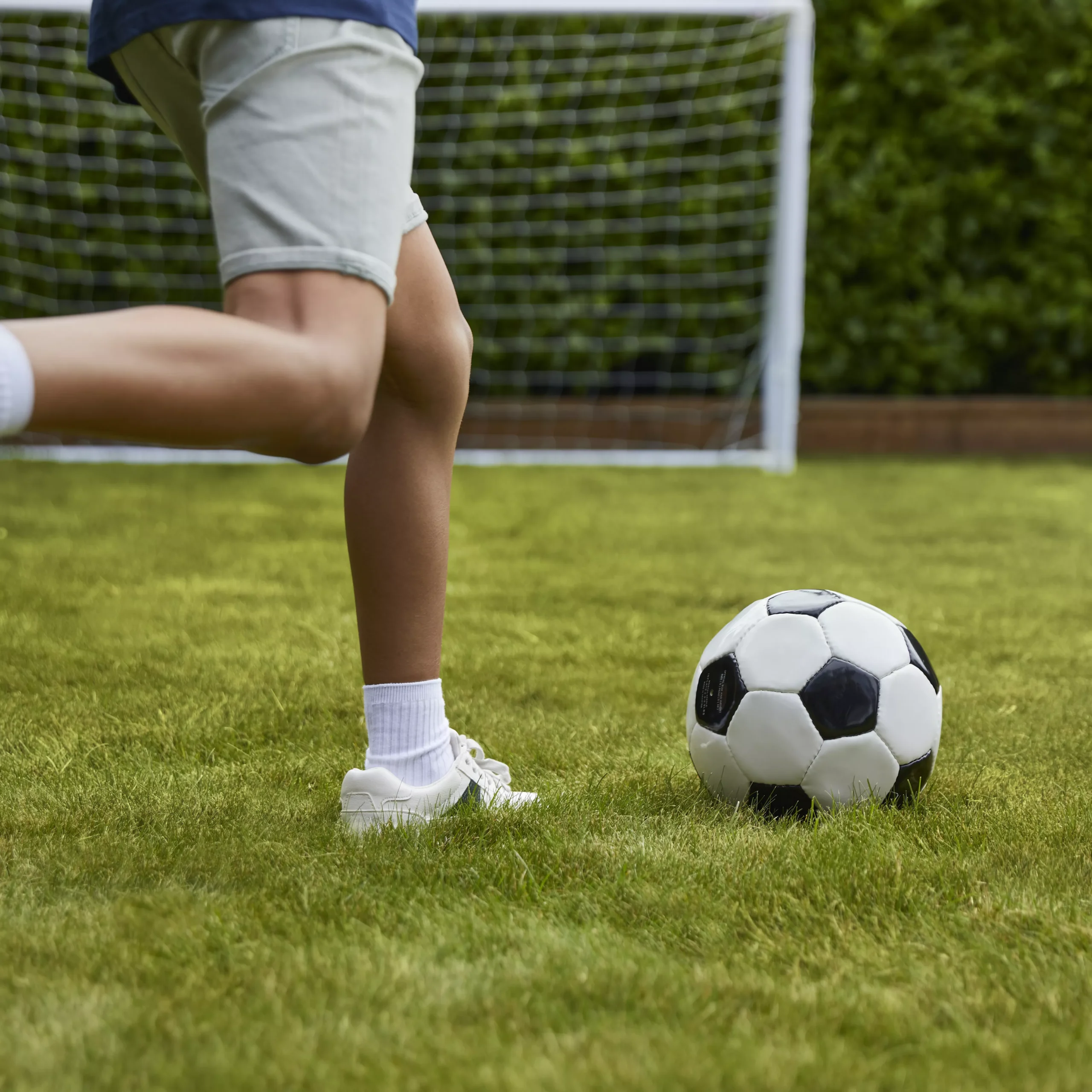 Verve Family & Sports Grass Seeds, 10kg - Image 7