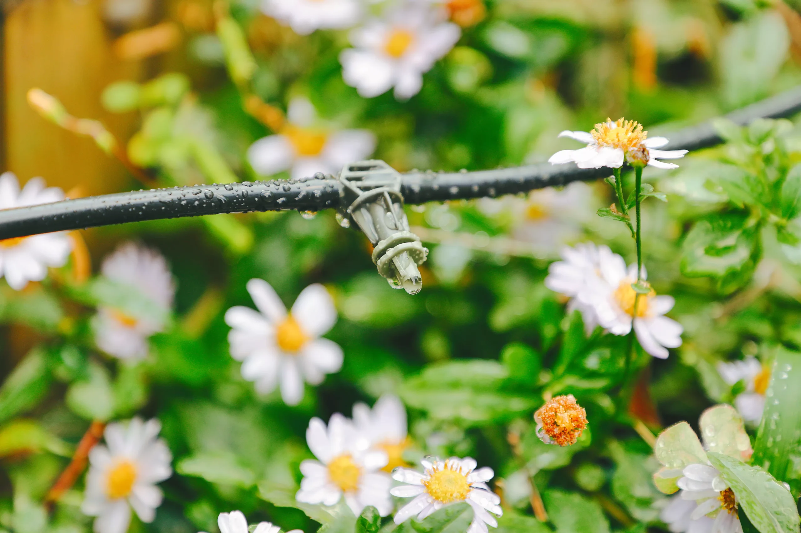 Verve Irrigation Kit 60 Pieces - Image 3