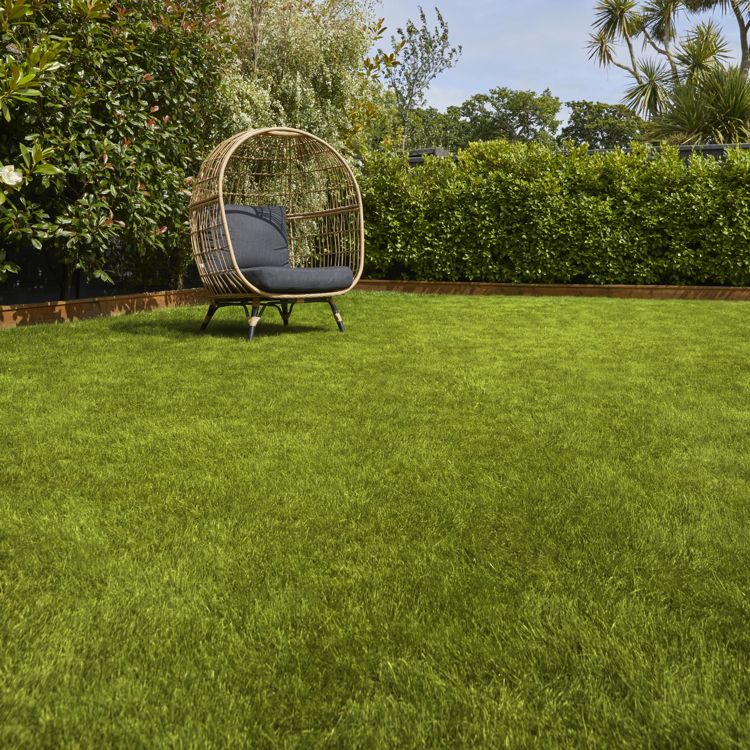 Verve Sunny Grass Seeds, 1.5kg - Image 2