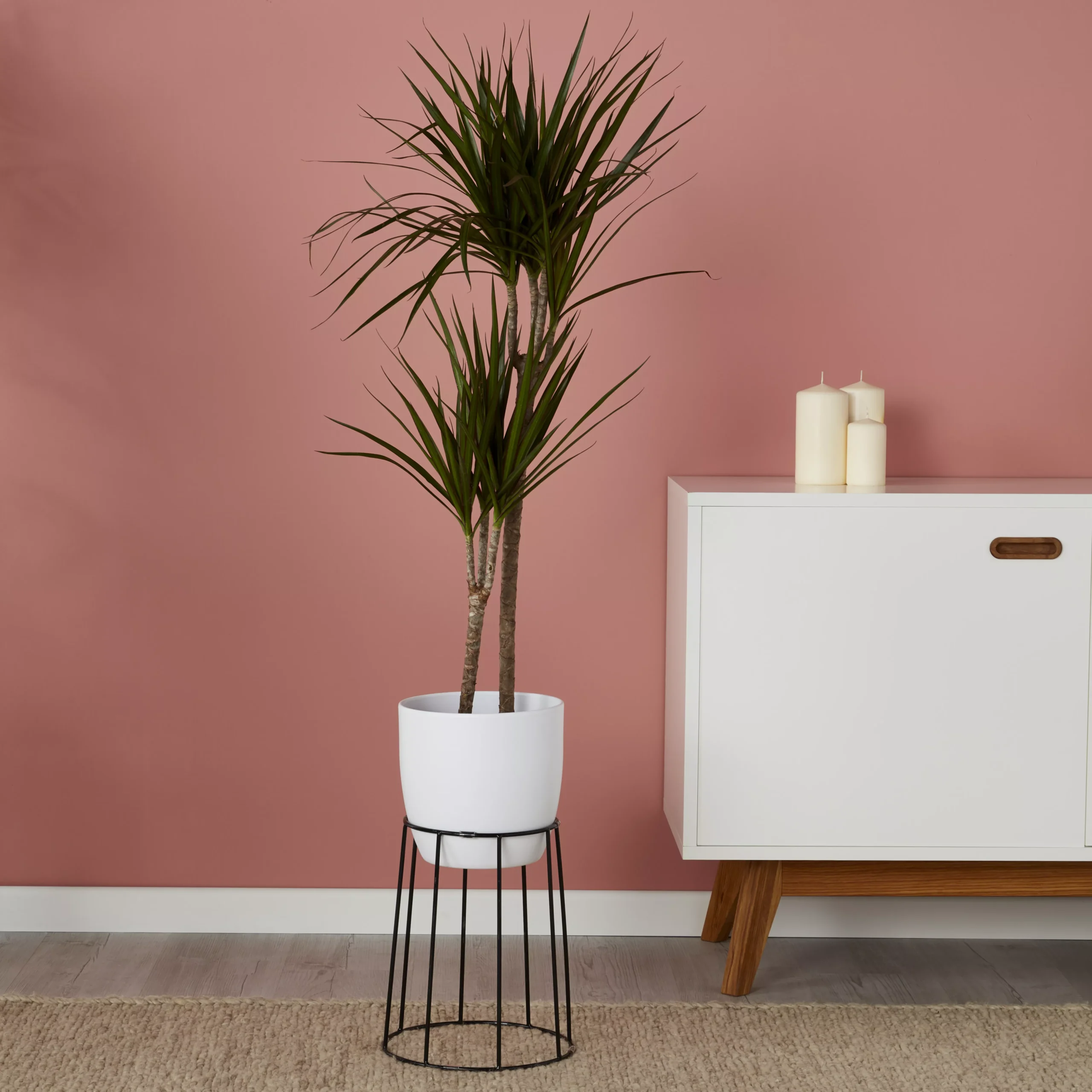 White Ceramic Round Plant Pot (Dia)21.5cm - Image 3